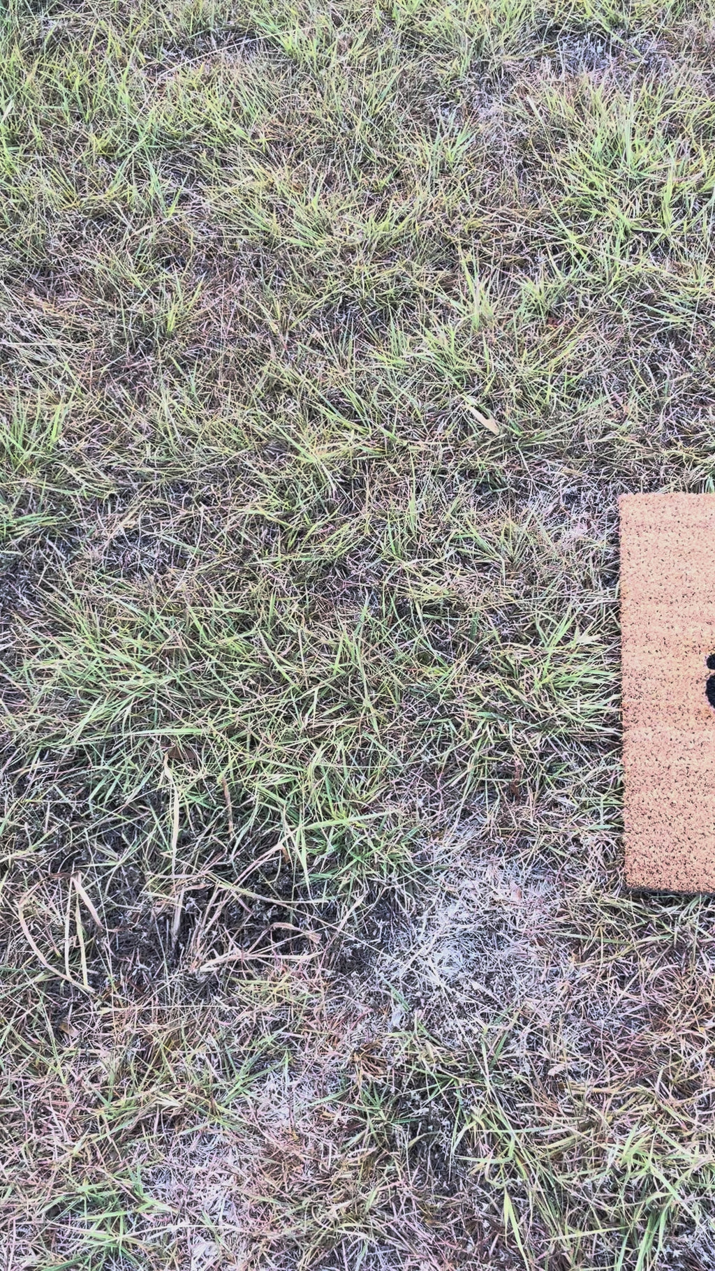 The Doormat District doormat with text  "Please Do Not Assume That You Are Welcome"