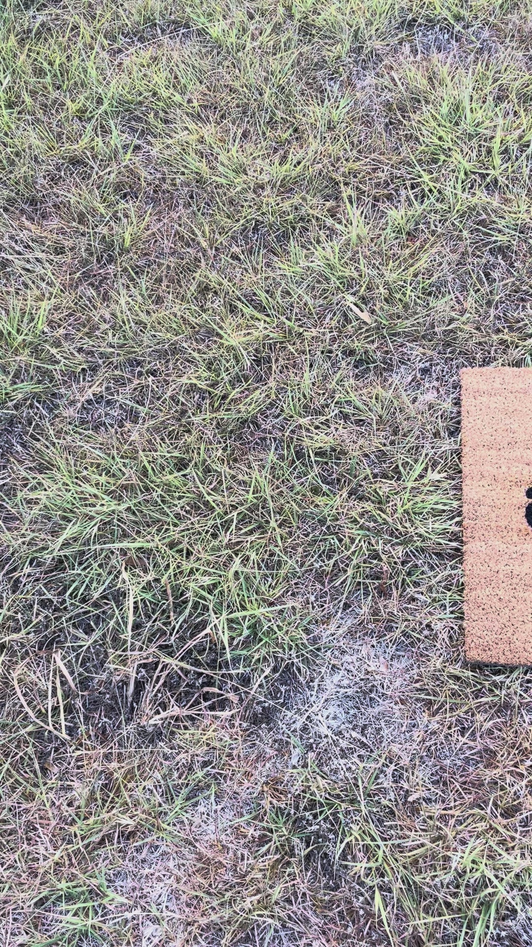 The Doormat District doormat with text  "Please Do Not Assume That You Are Welcome"